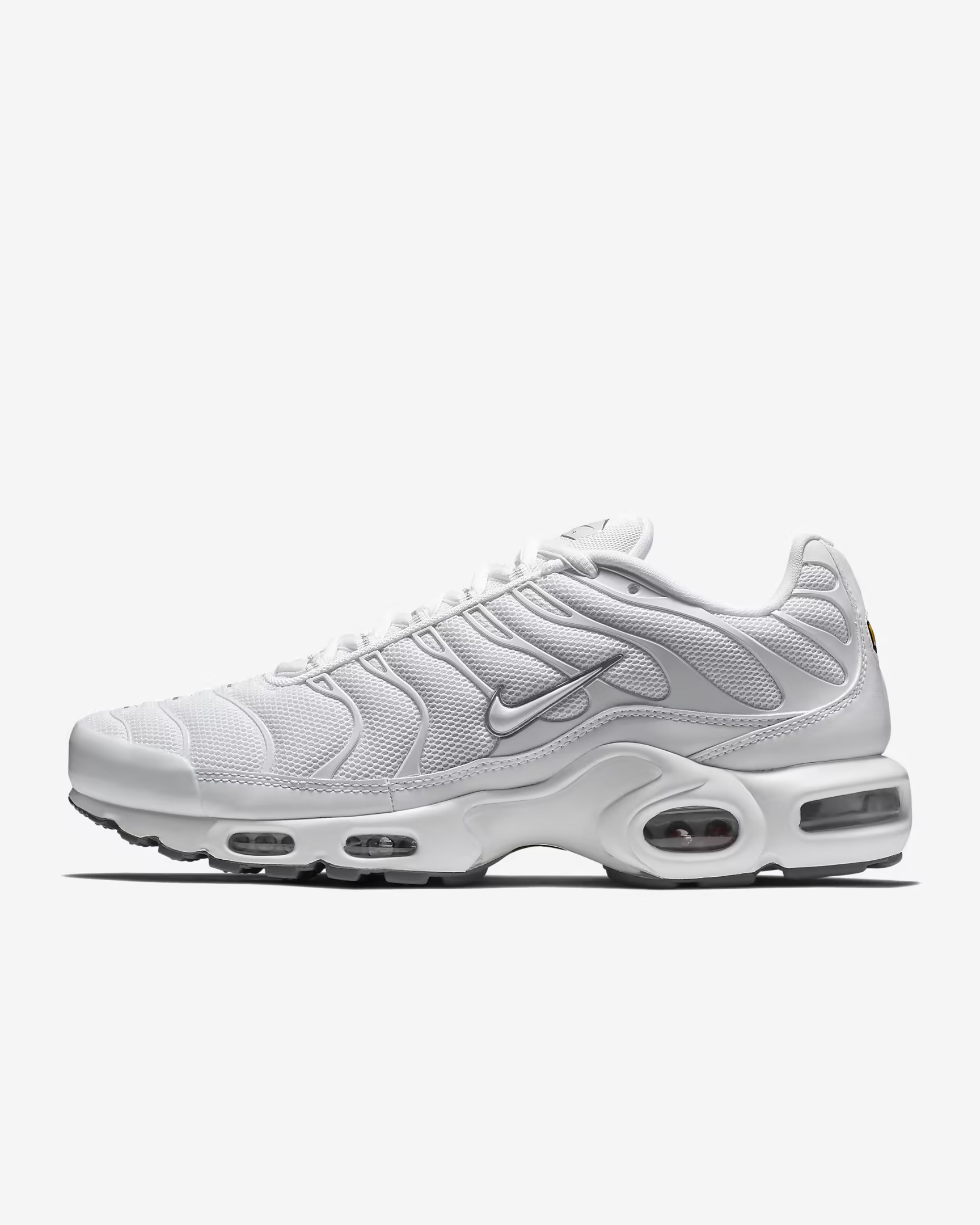 Nike Air Max Plus color 1 preview